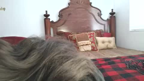 Snapshot of goddess_xandra_xquisite chatting on 19, 3, 2026 Xandra The Goddess online show from 19, 3, 2026