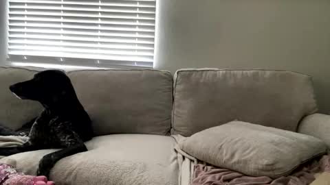 GoddessMayvn online show from 4, 5, 2026