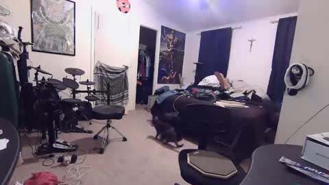 Daniel online show from 3, 5, 2026