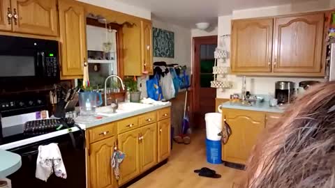 goodgirlcelestecat online show from 23, 3, 2026