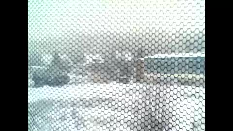 google5001 online show from 11, 1, 2026