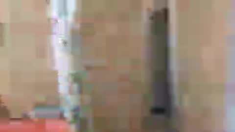 gordito_xx online show from 28, 7, 2026