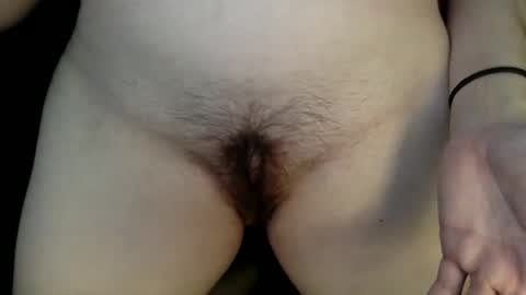 Kitten online show from 7, 1, 2025