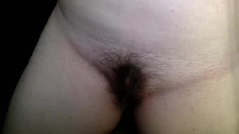 Kitten online show from 3, 2, 2025