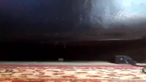 Snapshot of gothicfeetfantasies chatting on 12, 3, 2025 Mistress Mommy Godess online show from 12, 3, 2025