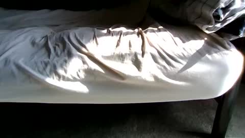 Snapshot of gowiththeflow37 chatting on 27, 2, 2026 watch me stroke online show from 27, 2, 2026