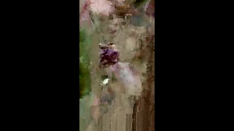grabisz30 online show from 11, 5, 2026
