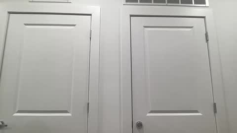 grace bailey online show from 4, 2, 2026