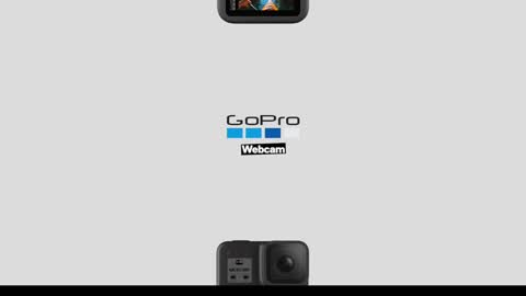 Snapshot of greenlungs8195 chatting on 9, 12, 2024 Greenlungs8195 online show from 9, 12, 2024