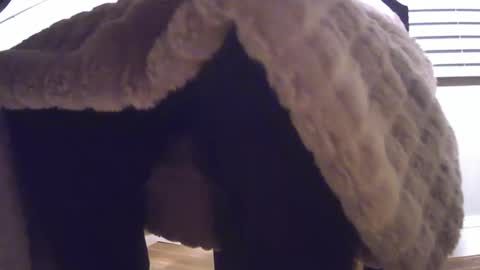 grower2153 online show from 24, 11, 2025