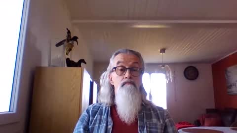Grybear online show from 17, 2, 2026