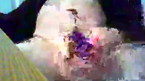 Snapshot of gtnolder60 chatting on 26, 1, 2025 Gary online show from 26, 1, 2025