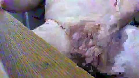 Snapshot of gtnolder60 chatting on 2, 2, 2025 Gary online show from 2, 2, 2025