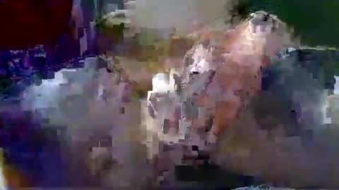 Snapshot of gtnolder60 chatting on 18, 1, 2026 Gary online show from 18, 1, 2026