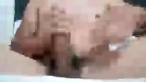 Snapshot of guapopapi88 chatting on 3, 8, 2026 guapopapi88 online show from 3, 8, 2026