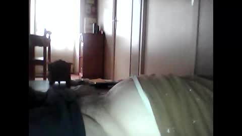 Snapshot of guizmeau72 chatting on 29, 10, 2025 guizmeau72 online show from 29, 10, 2025