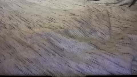 gumbywanna online show from 8, 2, 2025