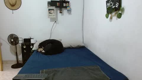 Snapshot of guts_x chatting on 6, 12, 2024 Guts online show from 6, 12, 2024