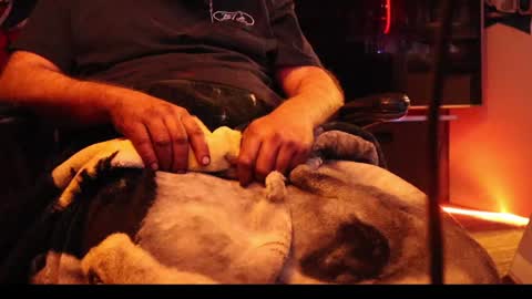 Snapshot of h0tttsteel chatting on 18, 12, 2024 h0tttsteel online show from 18, 12, 2024