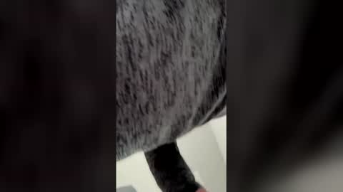 Ricko online show from 6, 3, 2026