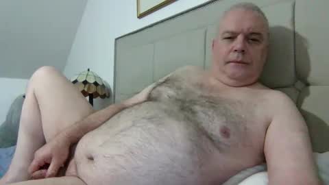 Snapshot of haggisstop chatting on 4, 11, 2025 haggisstop online show from 4, 11, 2025