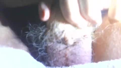 hagridthehorrible online show from 11, 1, 2026