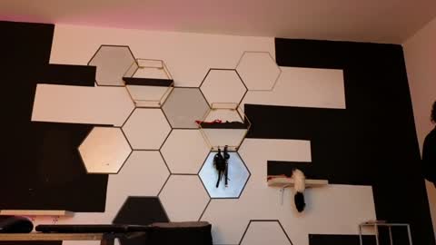 Snapshot of haileycat_ chatting on 6, 2, 2025 haileycat_ online show from 6, 2, 2025