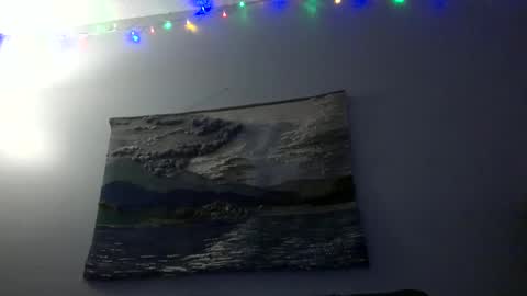 Hairiest Bear online show from 2, 12, 2024