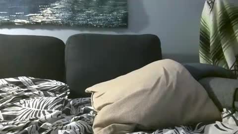 Hairiest Bear online show from 14, 12, 2024