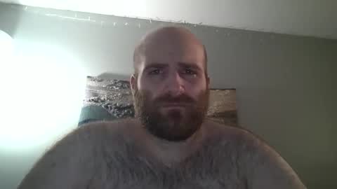 Hairiest Bear online show from 28, 12, 2024
