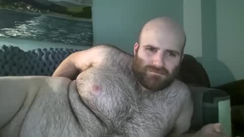 Hairiest Bear online show from 14, 1, 2025