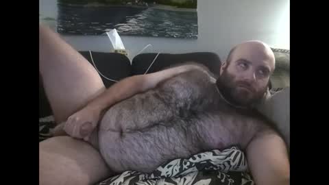 Hairiest Bear online show from 30, 9, 2025