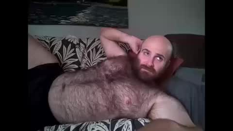 Hairiest Bear online show from 11, 10, 2025
