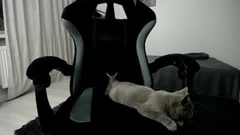 Snapshot of hairycuss chatting on 10, 1, 2025 Adam online show from 10, 1, 2025