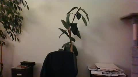 hairypussylover089 online show from 24, 6, 2026