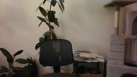 hairypussylover089 online show from 12, 7, 2026