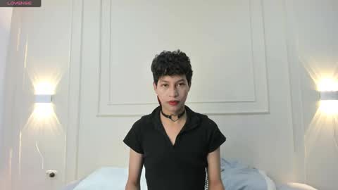 Hamsel  online show from 5, 5, 2026