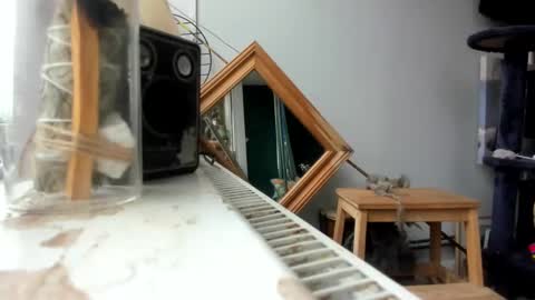 Snapshot of handncocknocum chatting on 19, 2, 2025 handncocknocum online show from 19, 2, 2025