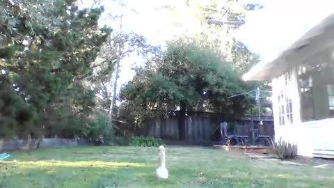 HandySmurf online show from 4, 12, 2024