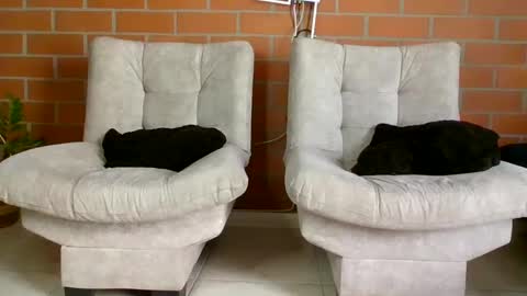 hanna online show from 20, 1, 2025