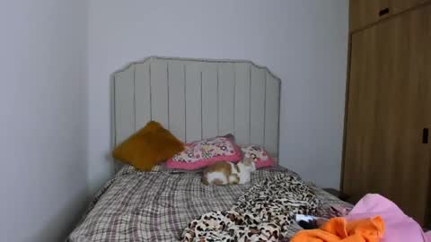 Hanna online show from 31, 12, 2024