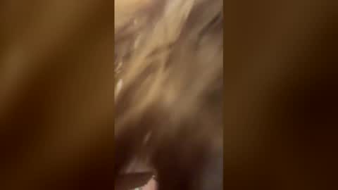 hansywake online show from 26, 4, 2026