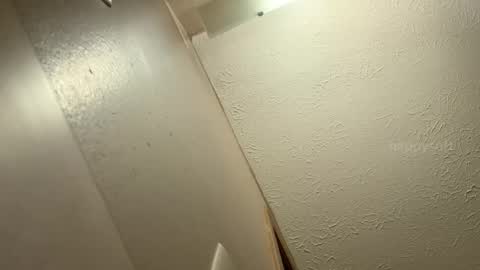 Snapshot of happysoft chatting on 9, 12, 2024 meatwad online show from 9, 12, 2024