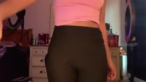 Snapshot of happysoft chatting on 29, 12, 2024 meatwad online show from 29, 12, 2024