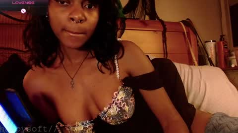 Snapshot of happysoft chatting on 28, 2, 2025 meatwad online show from 28, 2, 2025