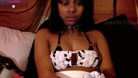 Snapshot of happysoft chatting on 3, 3, 2025 meatwad online show from 3, 3, 2025