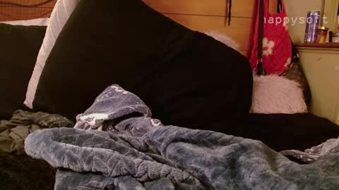 Snapshot of happysoft chatting on 11, 3, 2025 meatwad online show from 11, 3, 2025