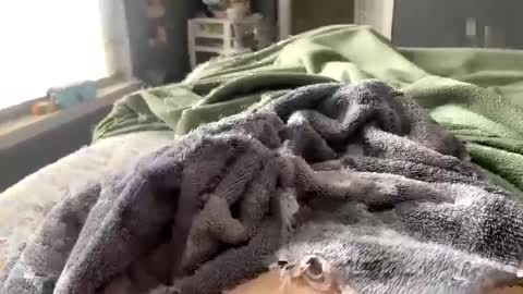 hardnthickm55 online show from 14, 2, 2025