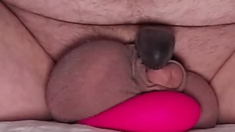 Snapshot of harfang23 chatting on 21, 3, 2026 Paul online show from 21, 3, 2026