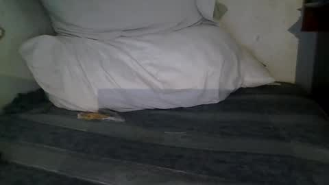 Snapshot of harry1cannary chatting on 13, 1, 2026 harry1cannary online show from 13, 1, 2026